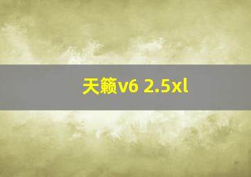 天籁v6 2.5xl